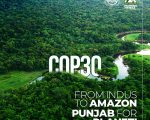 Punjab To Showcase Climate Leadership At Cop30 In Brazil