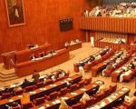 Senate Passes 27th Constitutional Amendment Amid Opposition Uproar
