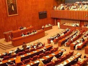 Senate Passes 27th Constitutional Amendment Amid Opposition Uproar