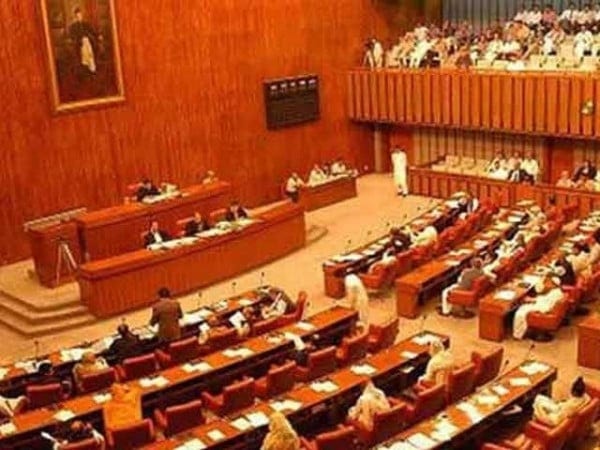 Senate Passes 27th Constitutional Amendment Amid Opposition Uproar