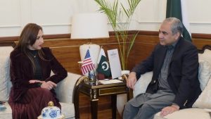 Us Ambassador Hails Pakistans Fight Against Terrorism In Meeting With Naqvi