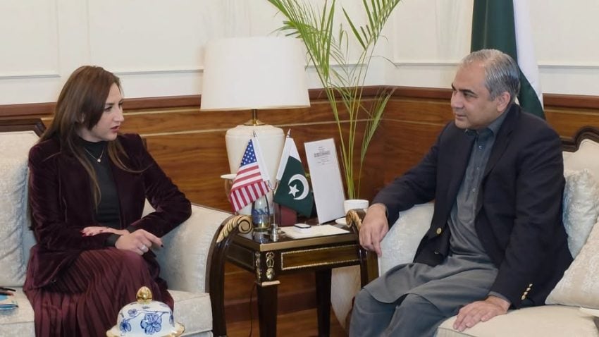 Us Ambassador Hails Pakistans Fight Against Terrorism In Meeting With Naqvi