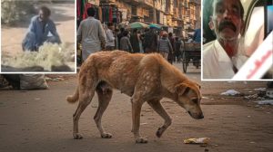 Van Driver Arrested After Video Of Him Raping Stray Dog Goes Viral