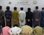 13 Pakistani Nationals Arrested For Sheep Theft In Saudi Arabia