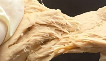 Chinese Scientists Develop Plant Based Chicken Alternative With Similar Taste