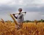 Pakistan Launches App To Digitally Facilitate Farmers Loans And Advisory Services