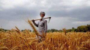 Pakistan Launches App To Digitally Facilitate Farmers Loans And Advisory Services