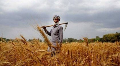 Pakistan Launches App To Digitally Facilitate Farmers Loans And Advisory Services