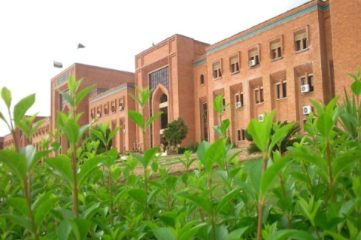 Panic Erupts As Leopard Spotted Roaming Inside Islamabads International Islamic University
