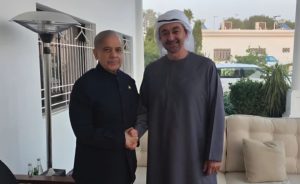 Pm Shehbaz Meets Uae President In Rahim Yar Khan Discusses Stronger Ties