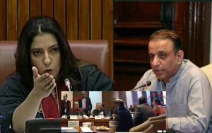 You Shut Up Palwasha Khan Aleem Khans Fiery Senate Showdown Goes Viral