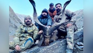 American Hunter Pays Rs7 56 Crore To Hunt Rare Kashmiri Markhor In Pakistan