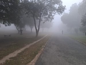 Lahore Weather Update Cold Dry Condition Prevails As Fog Hits Multiple Districts