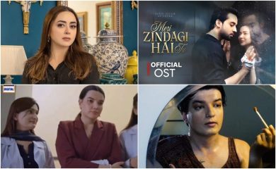 Maria B Slams Meri Zindagi Hai Tu Over Lgbt Character Of Dr Moiz Awan