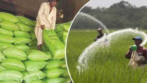 Record Fertilizer Sales Hit Historic High In Pakistan