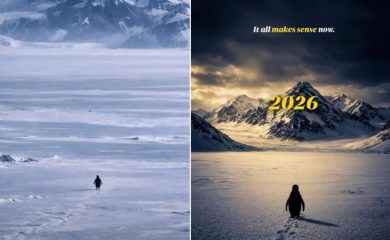 Why Is Internet Obsessed With Nihilist Penguin Who Walked Away From Its Group