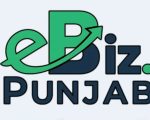 Your Complete Guide To Punjab E Biz Portal For Businesses Registrations