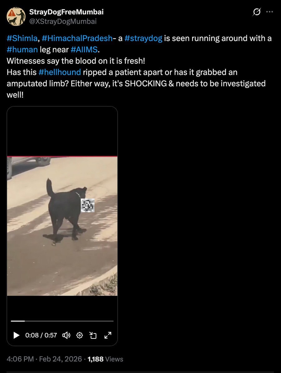 Dog Steals Severed Human Leg From Hospital In India 