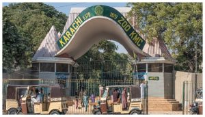 Karachi Zoo Entry Fees Abolished For These Citizens