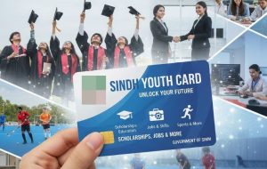 Youth Card To Unlock Scholarships Jobs And More For Sindh Residents