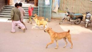 8 Year Old Girl Dies After Stray Dog Attack In Lahore On Eids Second Day