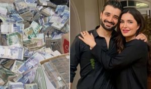 Hamza Abbasis Sister Dr Fazeels Gets Interim Bail In Money Laundering Case