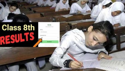 Class 8 Lahore Board Annual Result 2026 Check By Roll Number
