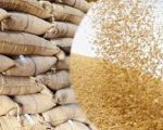 Kp Announces Hybrid Wheat Procurement Policy For 2026