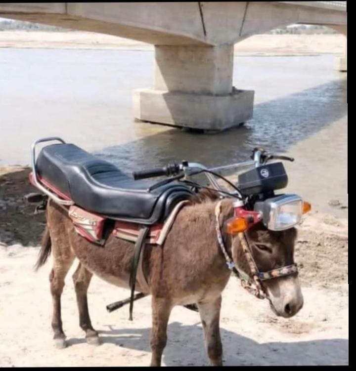 Pakistani Social Media Bursts With Memes After Massive Petrol Price Hike 