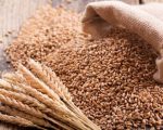 Punjab Govt To Provide Free Gunny Bags Fix Wheat Price At Rs3500 Per Maund