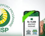 Bisp 8171 May Payments Coming Before Eid Check Latest Update
