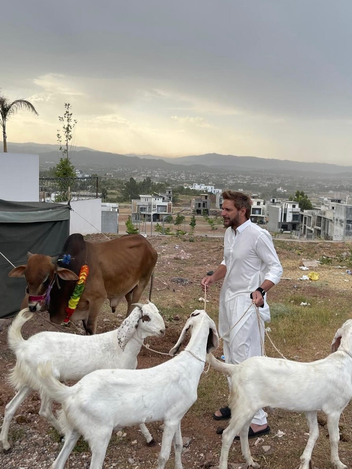Eid Ul Azha 