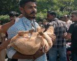 Hindutva Extremists Harass Indian Muslims On Eid Ul Azha With Pigs Protest