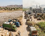Pakistans Textile Backbone In Dire Straits As Cotton Shortfall Forces Heavy Imports