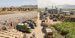 Pakistans Textile Backbone In Dire Straits As Cotton Shortfall Forces Heavy Imports