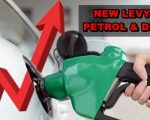 Petrol Levy Rises To Rs117 41 Per Litre In Pakistan Amid Fuel Price Surge