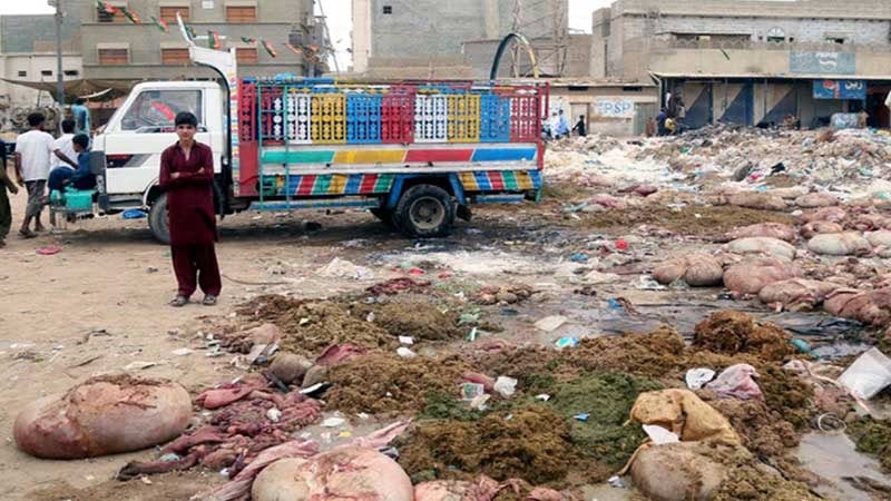Punjab Approves Rs50000 Fine For Dumping Animal Offals In Streets On Eidul Azha