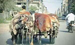 Punjab Under Section 144 During Eid Ul Azha With New Restrictions Imposed