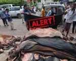 Tlp Jud Among Organizations Restricted From Collecting Qurbani Hides This Eid Ul Azha