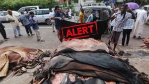 Tlp Jud Among Organizations Restricted From Collecting Qurbani Hides This Eid Ul Azha