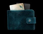Pakistan Set To Launch First Domestic Credit Card Ceo 1link