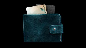 Pakistan Set To Launch First Domestic Credit Card Ceo 1link