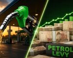 Pakistanis Paid Over Rs1 43 Trillion In Petrol Levy In Last One Year