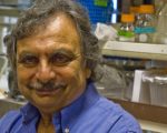 Uc San Diego Scientist Farooq Azam Wins 2026 Kyoto Prize For Pioneering Microbial Loop Discovery