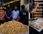 200kg Of Human Placenta Collected Monthly From Hospitals For Rs800 Per Organ Probe Reveals