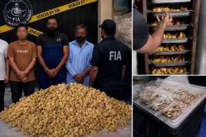 200kg Of Human Placenta Collected Monthly From Hospitals For Rs800 Per Organ Probe Reveals