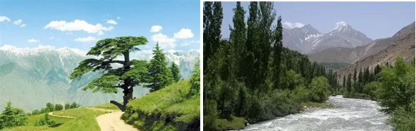 Chitral A Neglected Piece Of Paradise Waiting To Be Heard