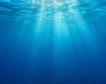 Does Water Really Expire Rethinking Our Perceptions Of Freshness