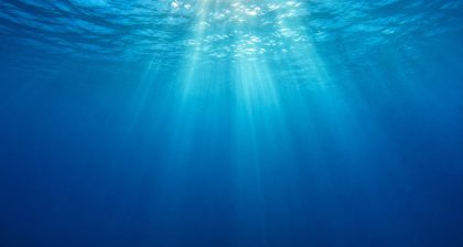 Does Water Really Expire Rethinking Our Perceptions Of Freshness