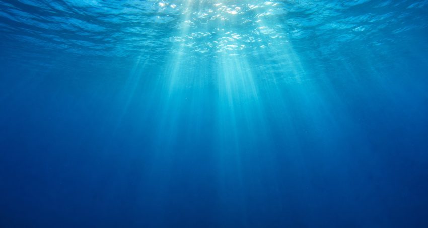 Does Water Really Expire Rethinking Our Perceptions Of Freshness